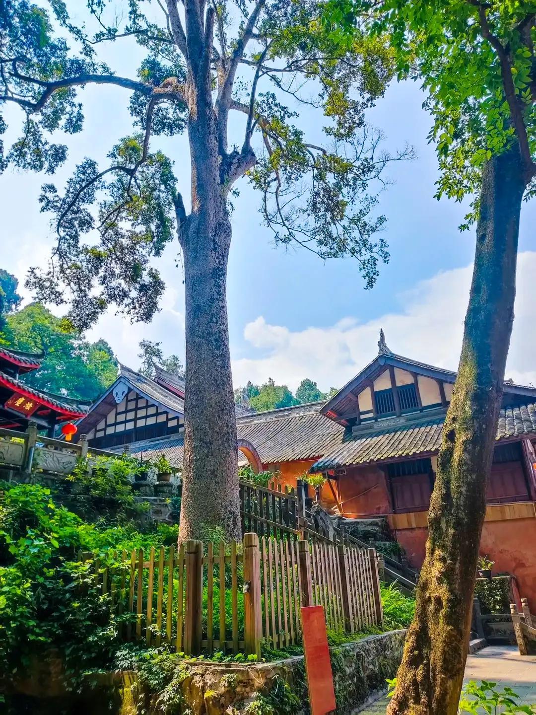 泰国旅游|味江流，普照寺，都在青城