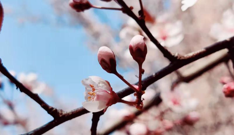 办公室|信任的基础是什么?