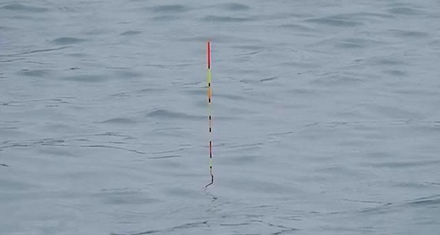 |冬钓如何选漂?这几个点很关键