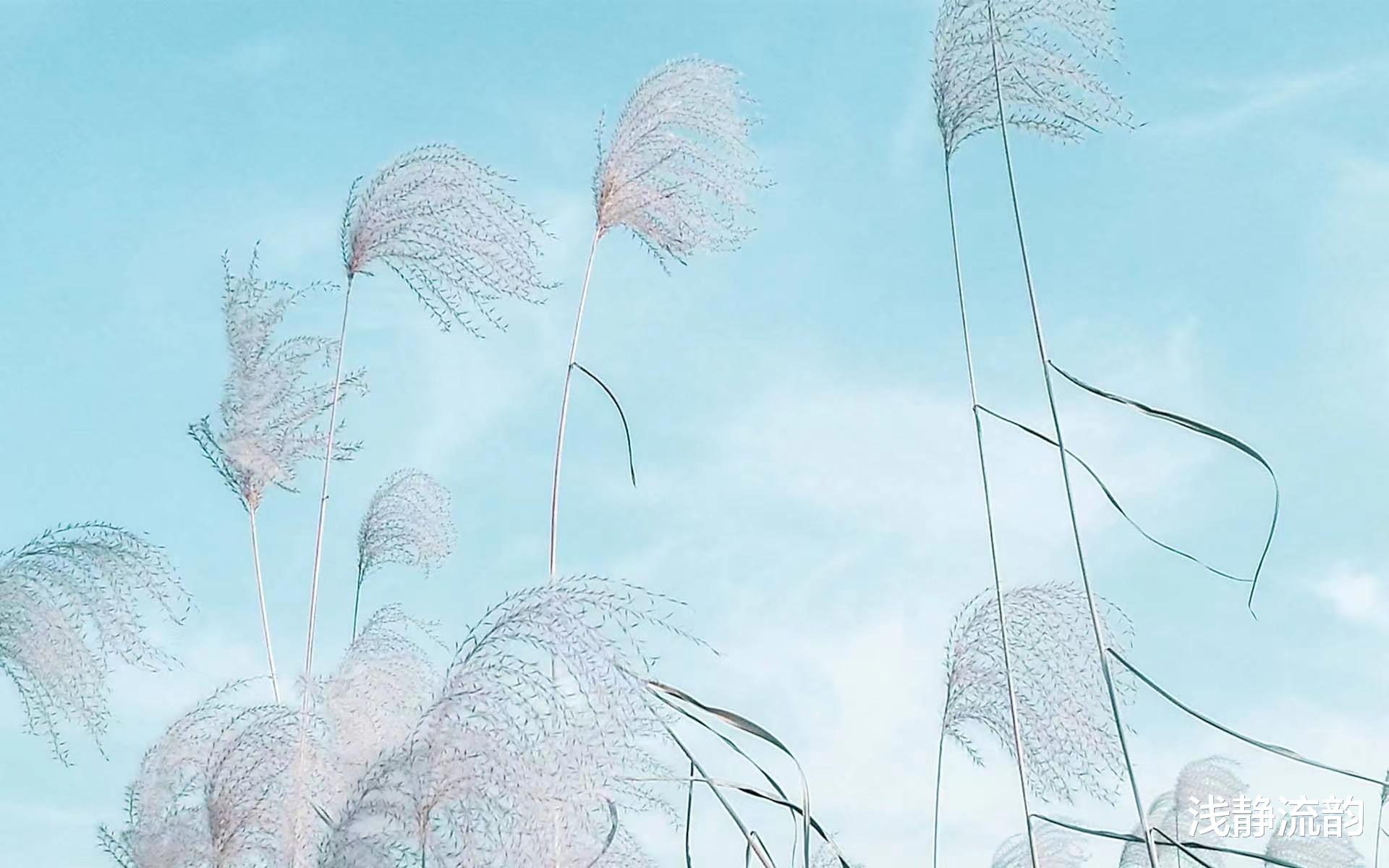 紫菜 新的一年,从这几方面入手你能成为愿景中的自己