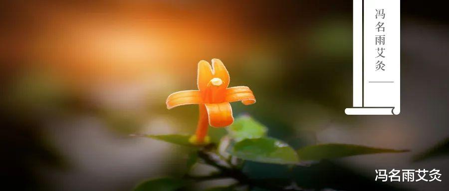 抗癌|眼干：眼睛干涩是肝出问题？两个穴位速效缓解