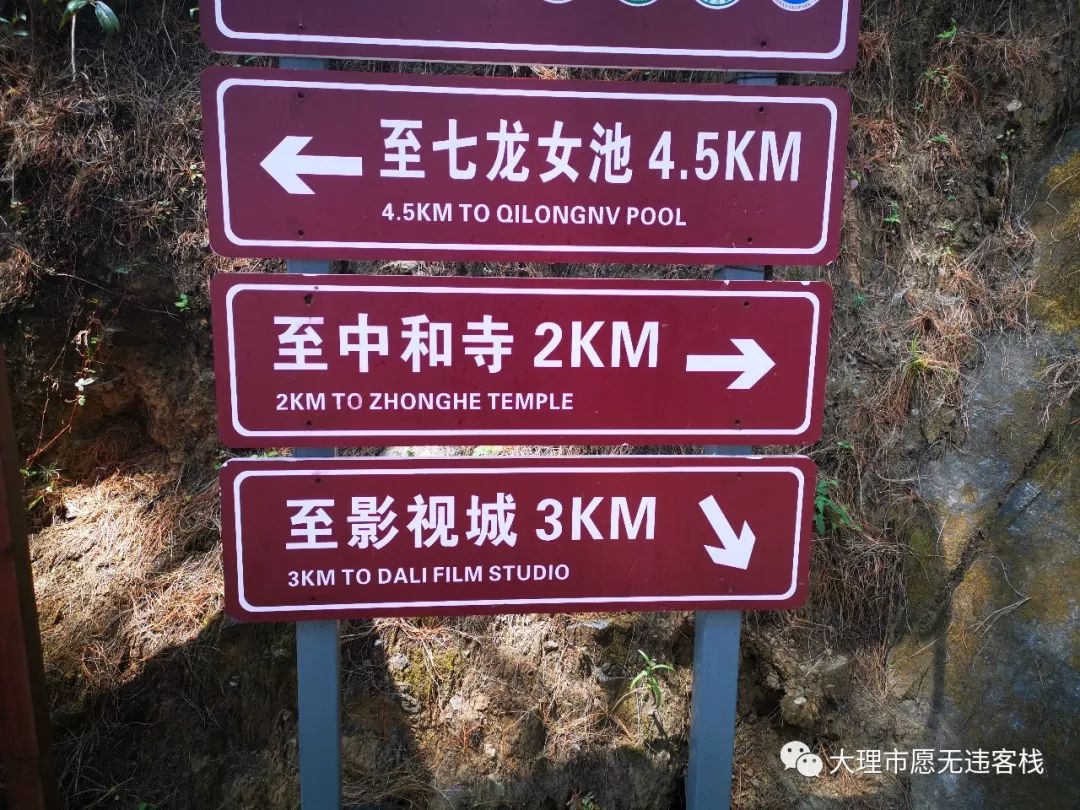 徒步|大理苍山13.5公里的玉带云游路，深度徒步最全攻略！
