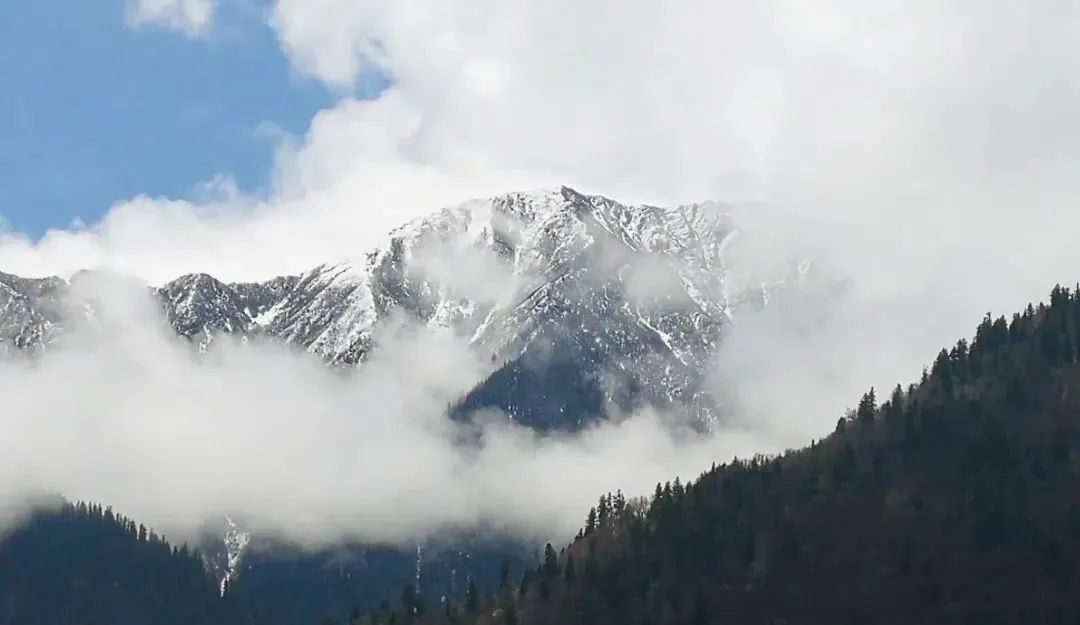 台州|宿在云端，推窗即见雪山，阿坝州这家民宿绝了！