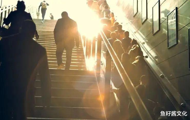 狮子座|新东方辞退拒调岗员工被判赔38万：出现这8种信号，你可能要被裁