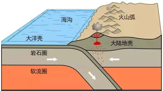 3亿年前，陆地是一个整体，从中国可以走陆路去澳大利亚