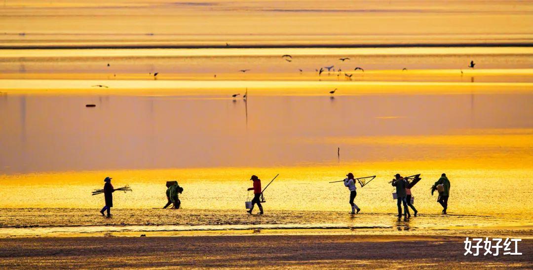 盐城|中国唯一没有山的城市，爬山都是奢侈，最高海拔只有8米，实在太仙了！