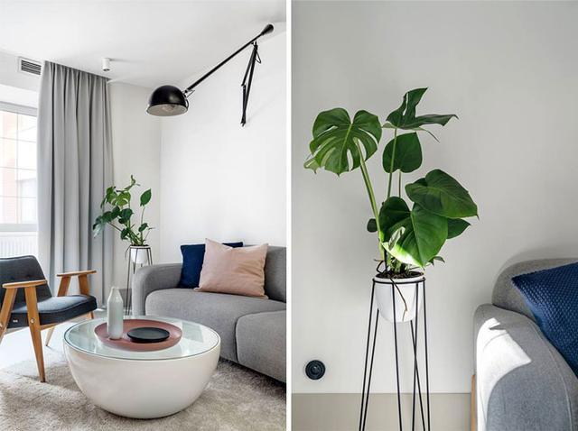 39平方米的蜗居设计，装修效果居然在朋友圈火了，超实用好看