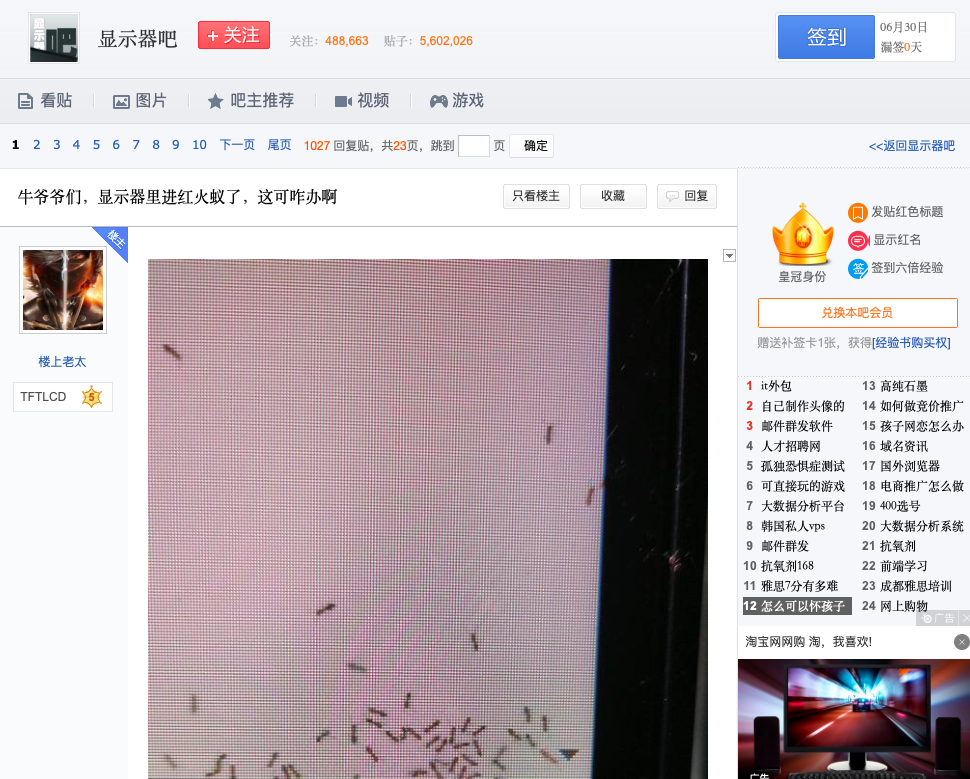 显示器|真“动态壁纸”？一网友显示器进蚂蚁：杀虫剂都救不了