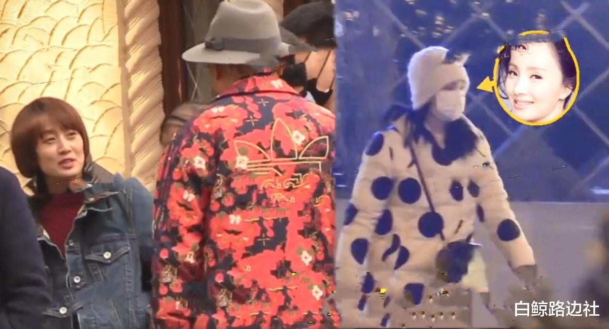 徐峥|49岁徐峥和马伊琍约饭！穿大花袄胖到没脖子，小陶虹则独自泡温泉