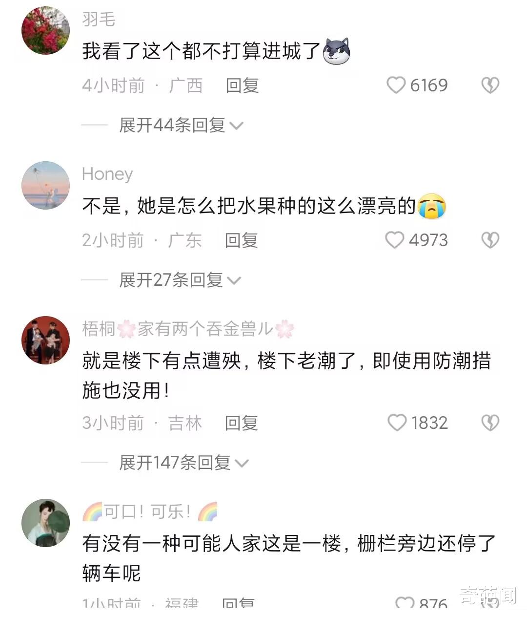 女子露台打造果园,每天精心打理超治愈,果树硕果累累羡煞众人!