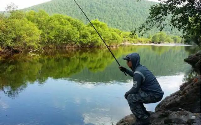 饵料|伏天钓鱼，“4钓4不钓”，新手也能狂拉大鱼，不愁鱼护不满