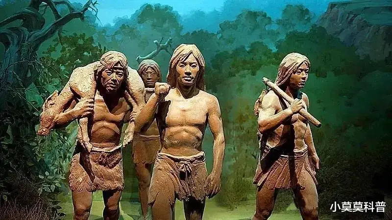 为什么弱小的人类能成为地球的至尊?是靠智商,实际情况并非如此