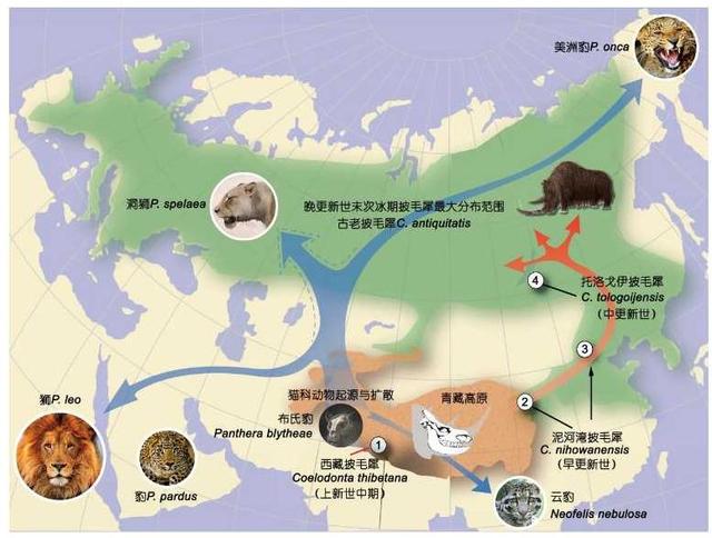 ?研究表明:水循环塑造新生代动物区系