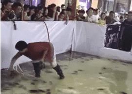 商家:“50元一次,能抓多少拿走多少”,大妈入场后,商家立刻不淡定了!