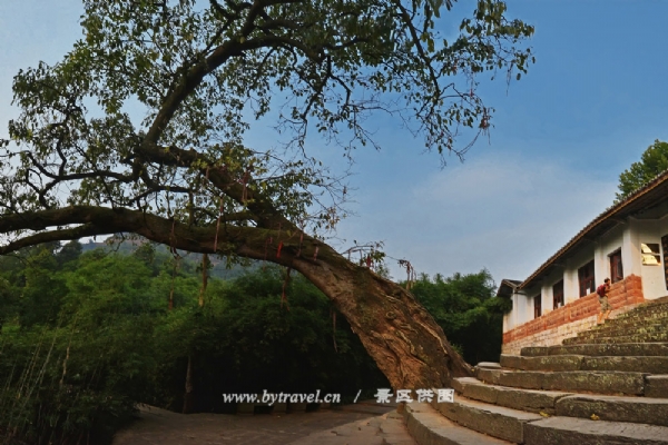 泸州|泸州天仙洞-休闲养生圣地