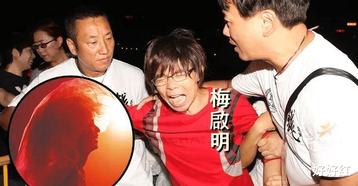 梅艳芳|状告女儿、不认儿子,香港巨星争产案惊天大反转!