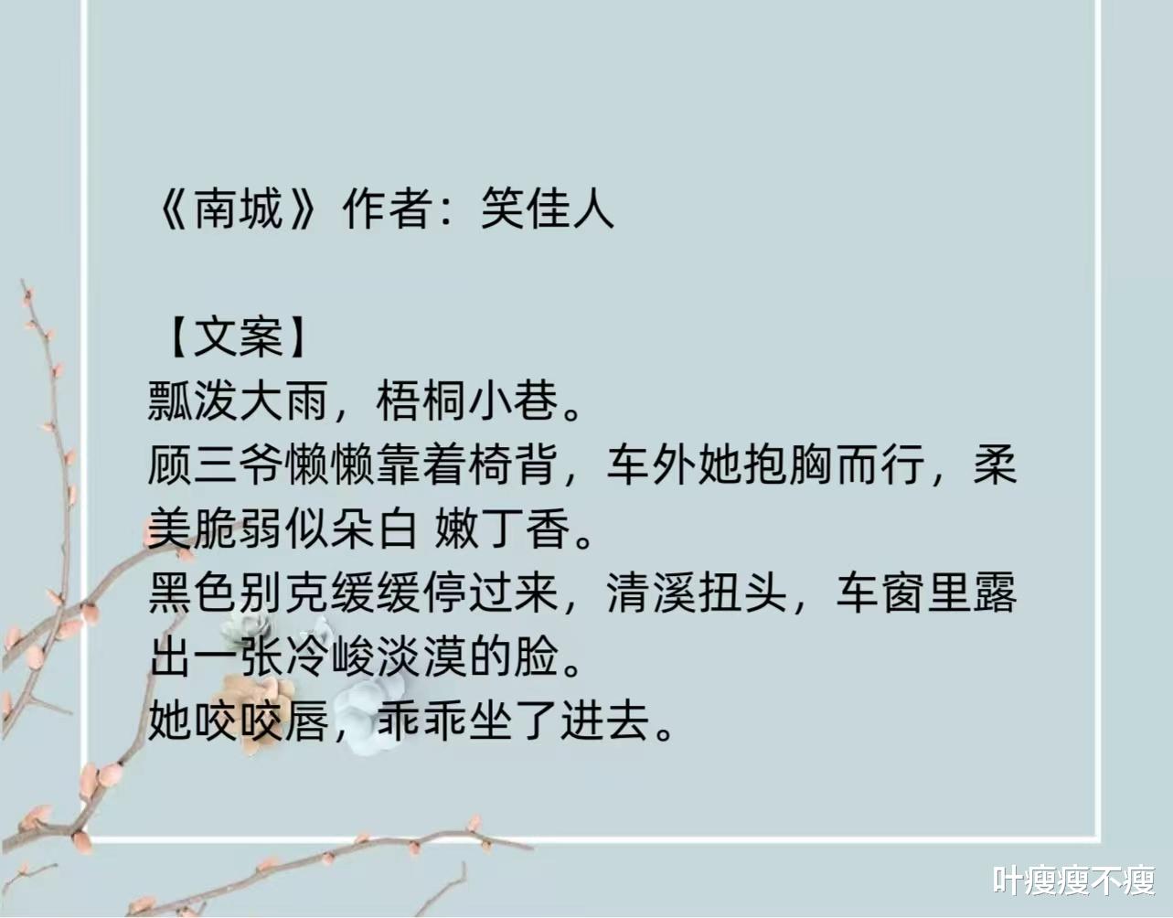 《南城》汽车大亨和娇俏女掌柜的民国往事