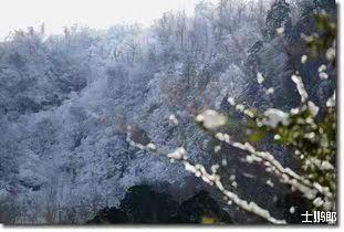 四川三伏天降雪了!究竟是为何?人类应该警惕,远古病菌或将苏醒
