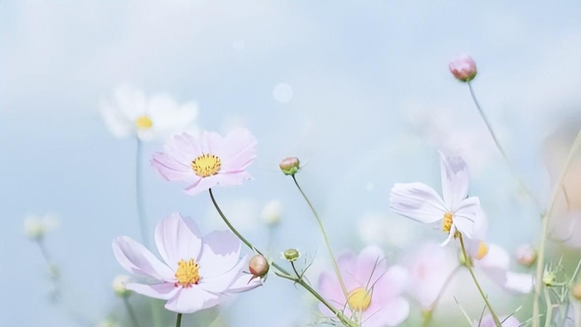 日本|退休以后，不要请以下几种人吃饭，请了，烦恼也就来了