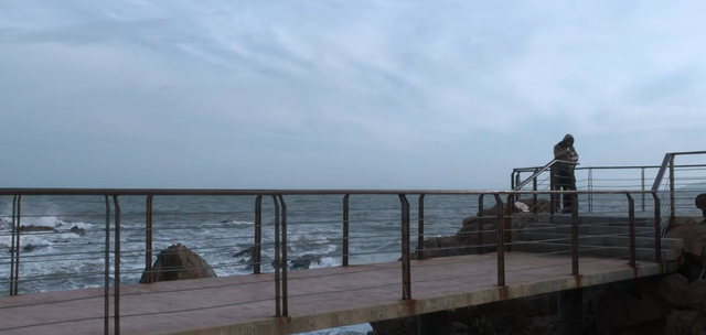 裴之|天才基本法：大结局镜头寓意，裴之林朝夕爱情甜美但生活充满苦难