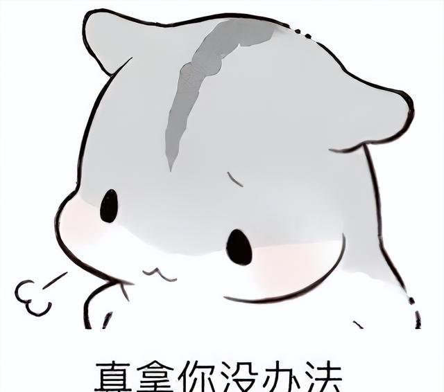 hr|找工作面试我问HR是否双休，HR：“有能耐去考公，别来这面试”