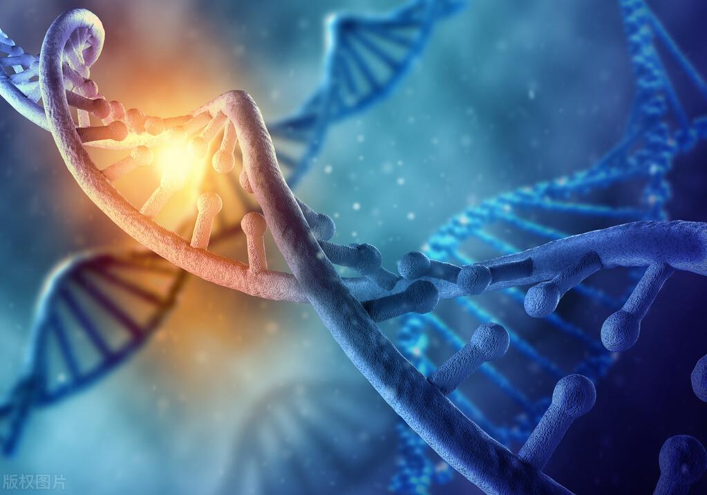 月球惨遭垃圾围城,科学家:月球上至少有200吨人类垃圾