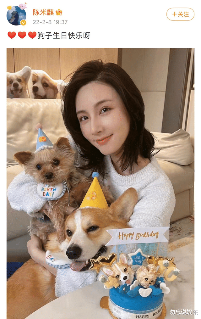 王思聪|34岁王思聪疑与演员女友复合!女方身材非常好,肤白貌美气质上佳