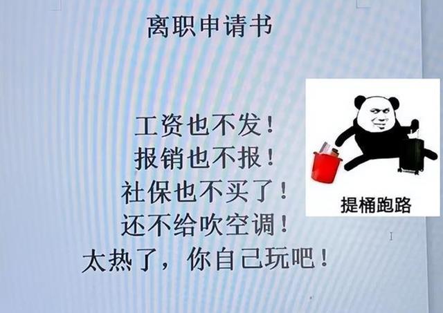 程序员|女程序员辞职信走红，每句都“话中带刺”，怼得老板无法反驳