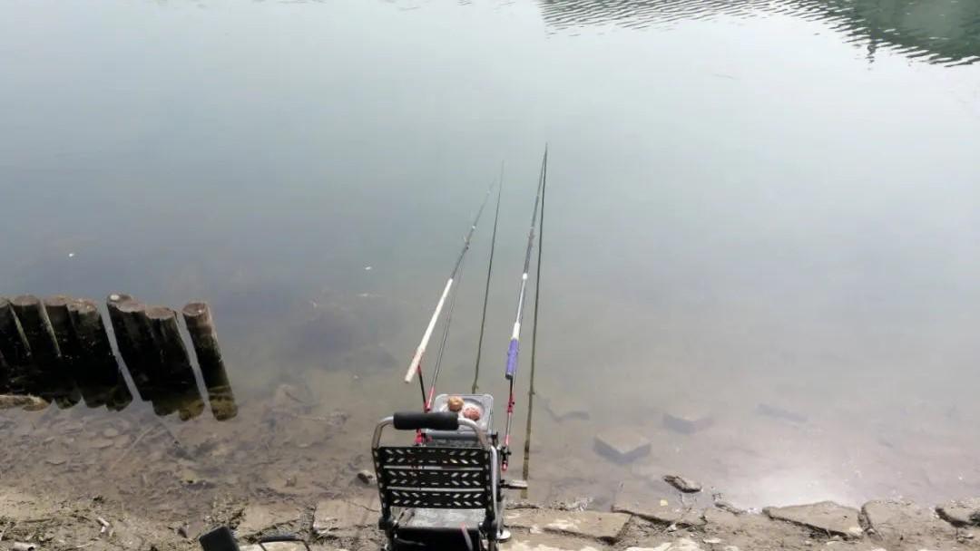 |老祖宗留下的8条钓鱼口诀，悟透的人都是钓鱼高手