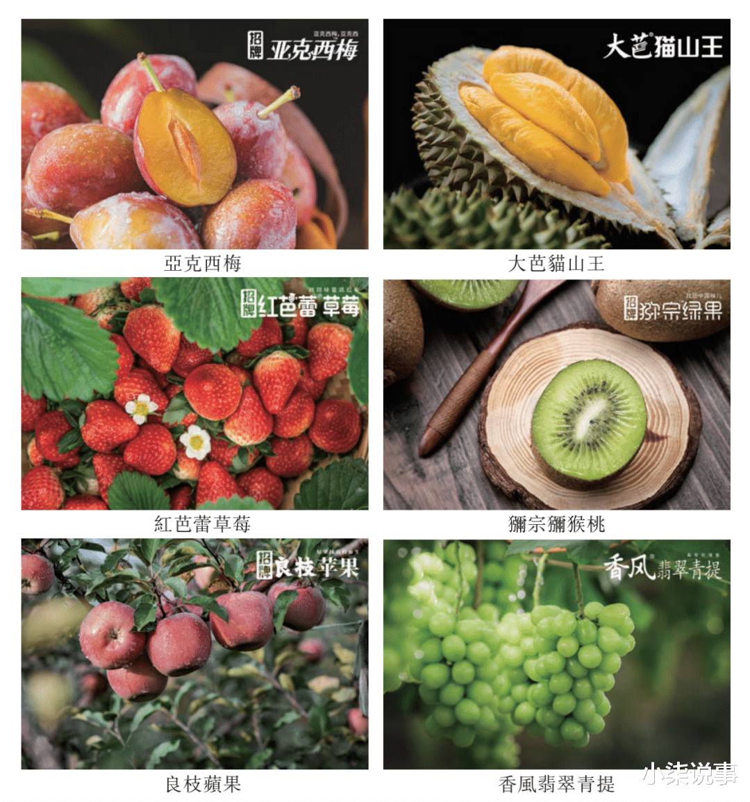 CPU|连“最贵水果店”百果园都不赚钱，美团拼多多怎么办？