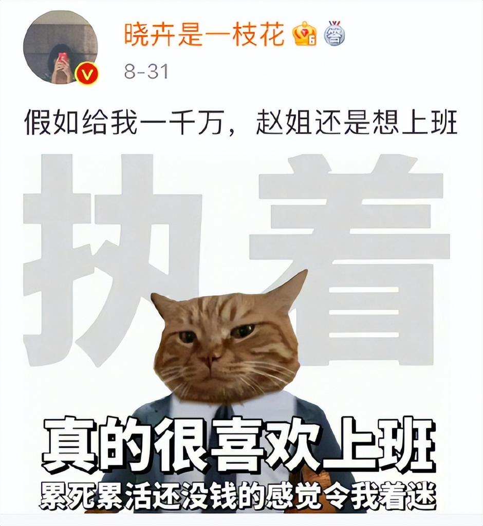 春晚|跟着徐志胜何广智上春晚,凭什么是赵晓卉,而不是杨笠