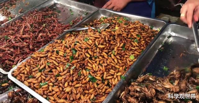 多吃昆虫或解决人类食物危机?科学家:昆虫应该搬上我们的餐桌