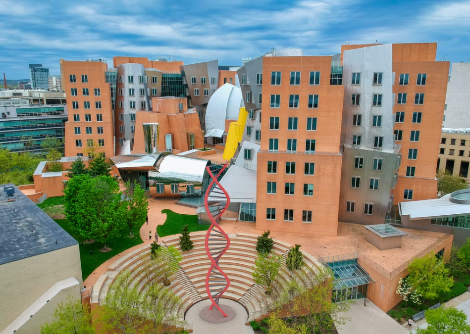 李颖|马云背后的女富豪:颜值堪比奶茶妹妹,30岁身家百亿却至今未婚?