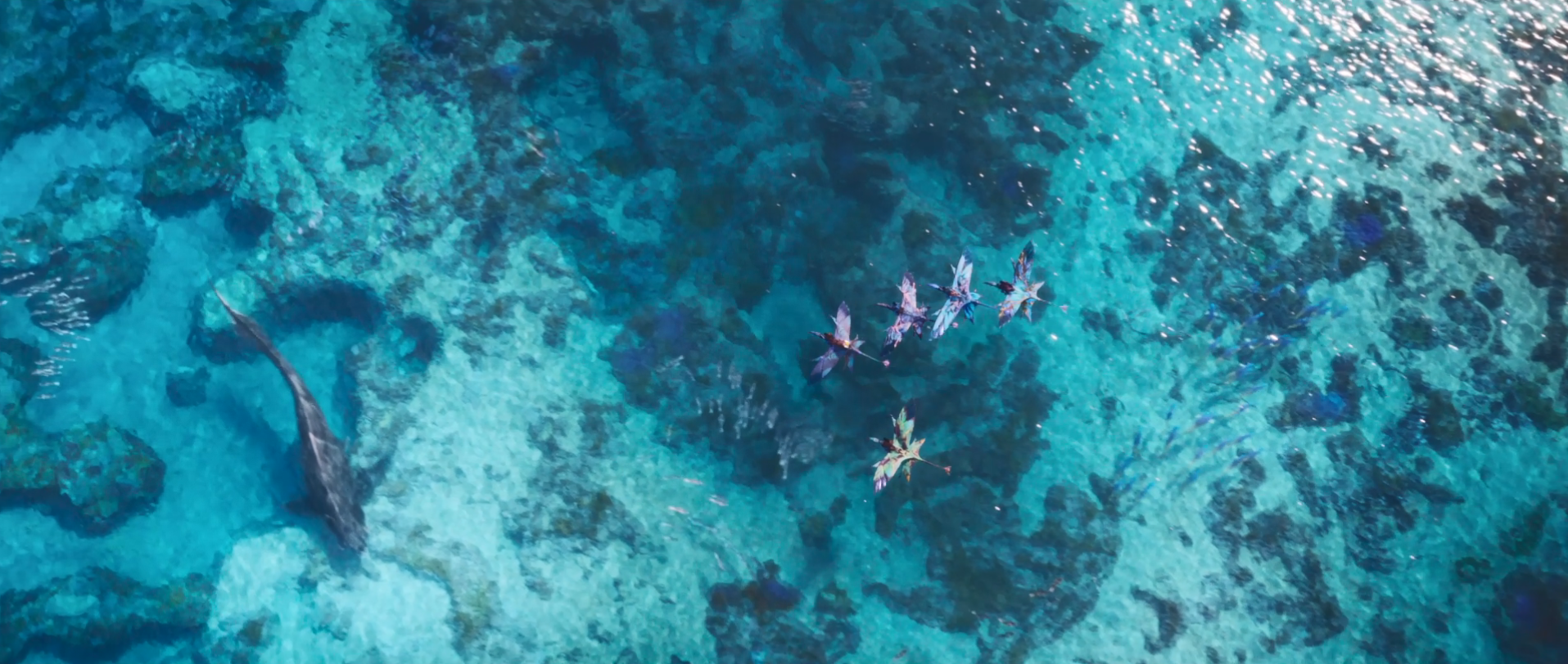 阿凡达2|详细分析《阿凡达2》国内票房失利的原因