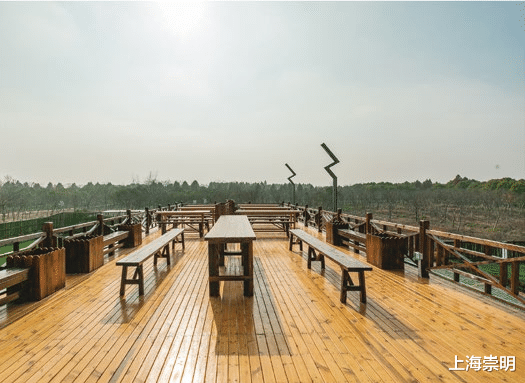 洱海|游在崇明,学在路上!线路二十八:南来北往民宿