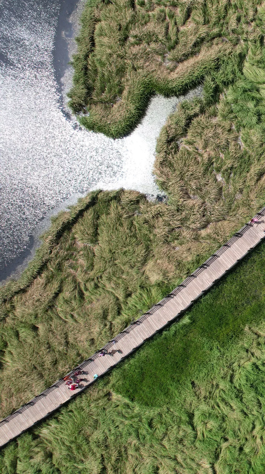 重庆|【春节特辑】春节最佳旅游线路出炉，赶快和家人们去打卡吧！