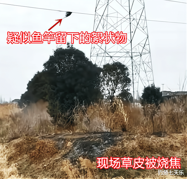 触电|江苏泰州一名垂钓者触电身亡，现场目击者：半个身体快被烧没了