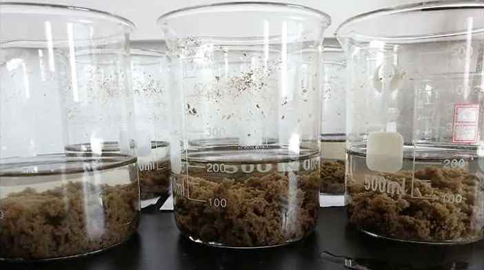 絮凝剂聚丙烯酰胺都知道，但微生物絮凝剂是一种什么样的絮凝剂？