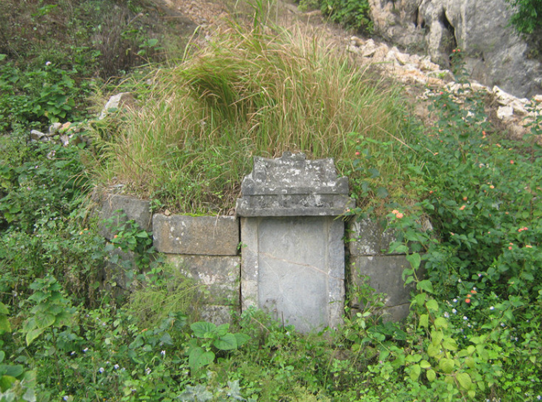 1991年广东农民被刺猬追杀5年,死后建了一座坟,但刺猬仍不放过