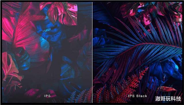 ips|IPS面板，为何分出这么多花样？看完你就明白了