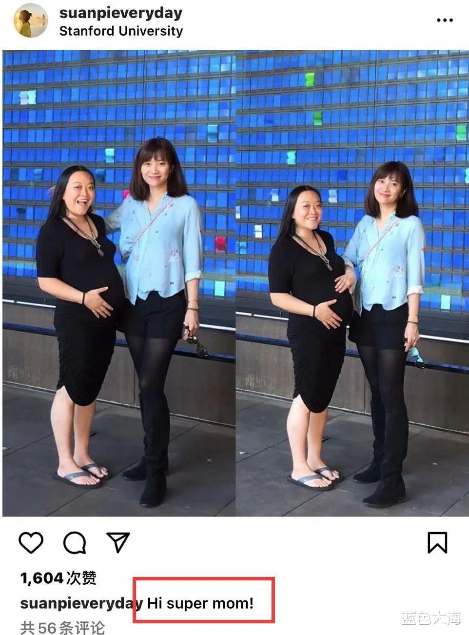 冷冻卵子|冻卵九年的徐静蕾，竟然亲自怀孕了？