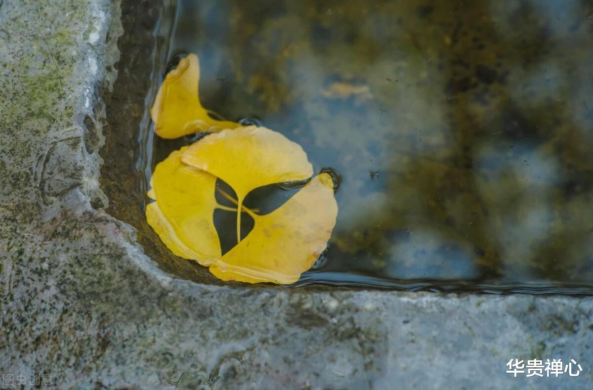 长寿|为啥说独居老人更容易长寿呢？78岁老人坦言：因为做对了这三件事