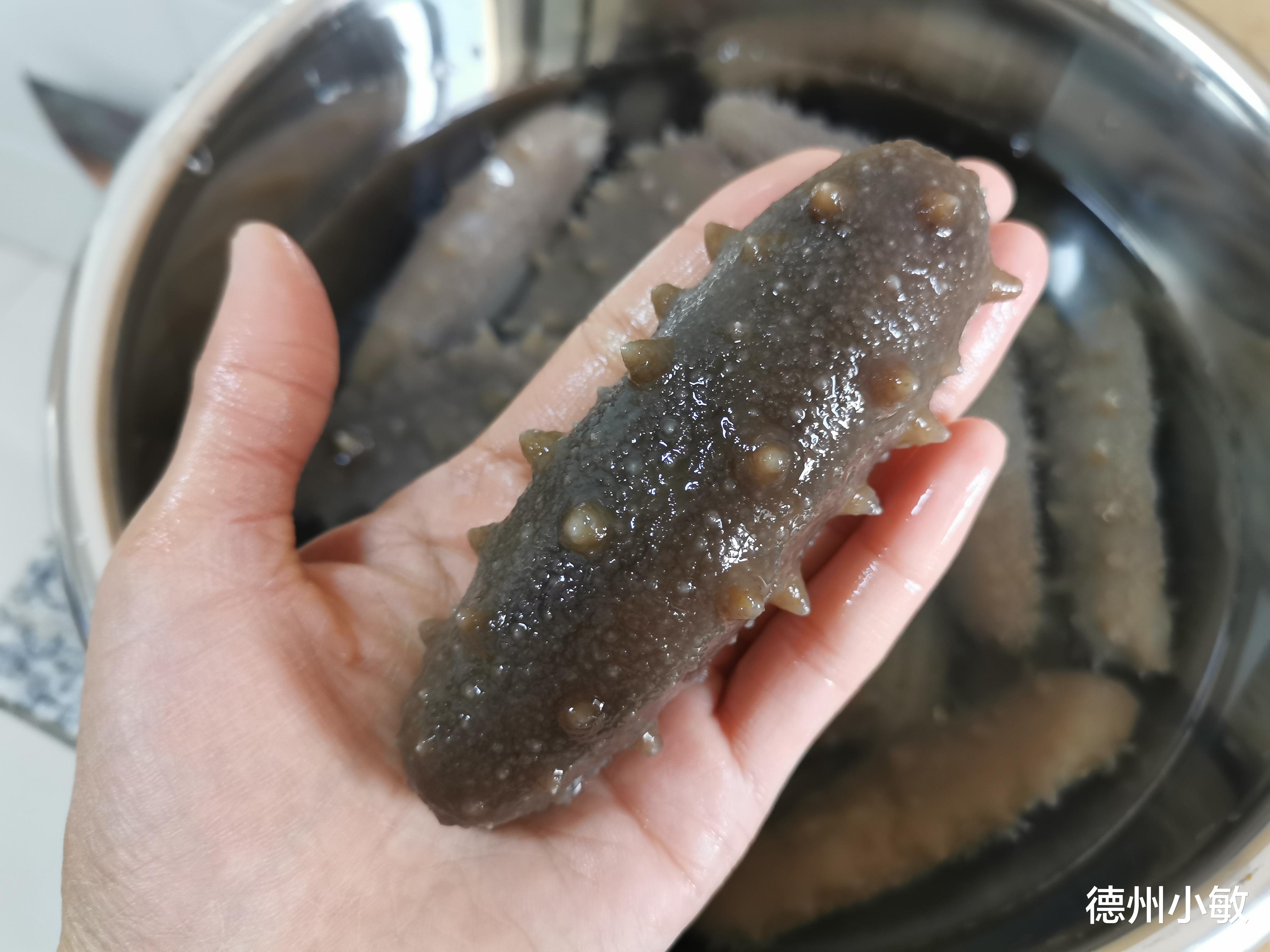 海参那么贵,最忌直接加水泡,正确做法和要点讲解,新手一次成功