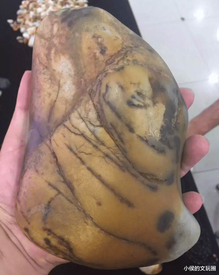 老虎|带“虎纹”就值钱？一块石头卖到一千万？