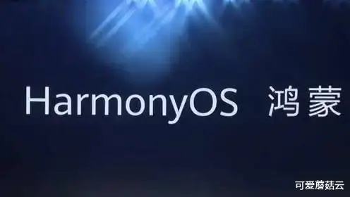 真我gt neo3|荣耀：以后新机不能升级鸿蒙OS了