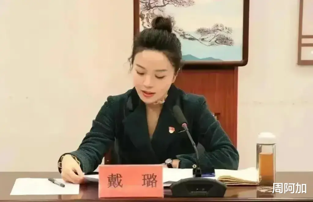 美女戴副局长究竟做了什么,26岁就当上副局长!