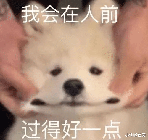 新鸿基|五月动态:新鸿基之后还有大招要出?