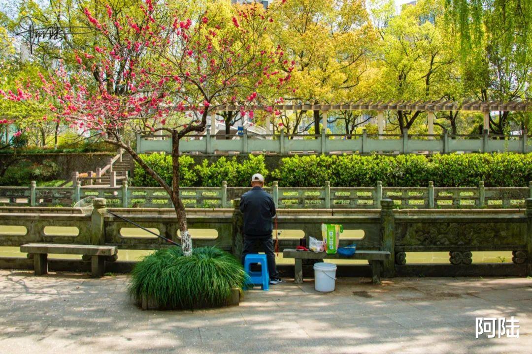 杭州|在古泉池里钓鱼，相信这样的事情也只有在杭州才可能发生了吧