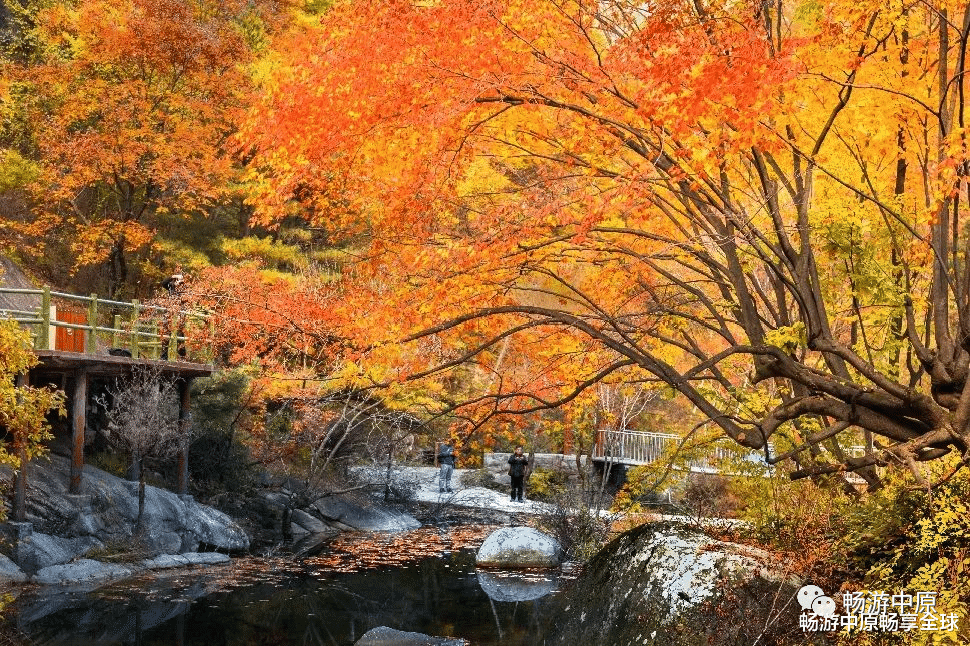 武夷山|秋日的天河大峡谷,缓缓步入了美轮美奂的童话世界(原创)