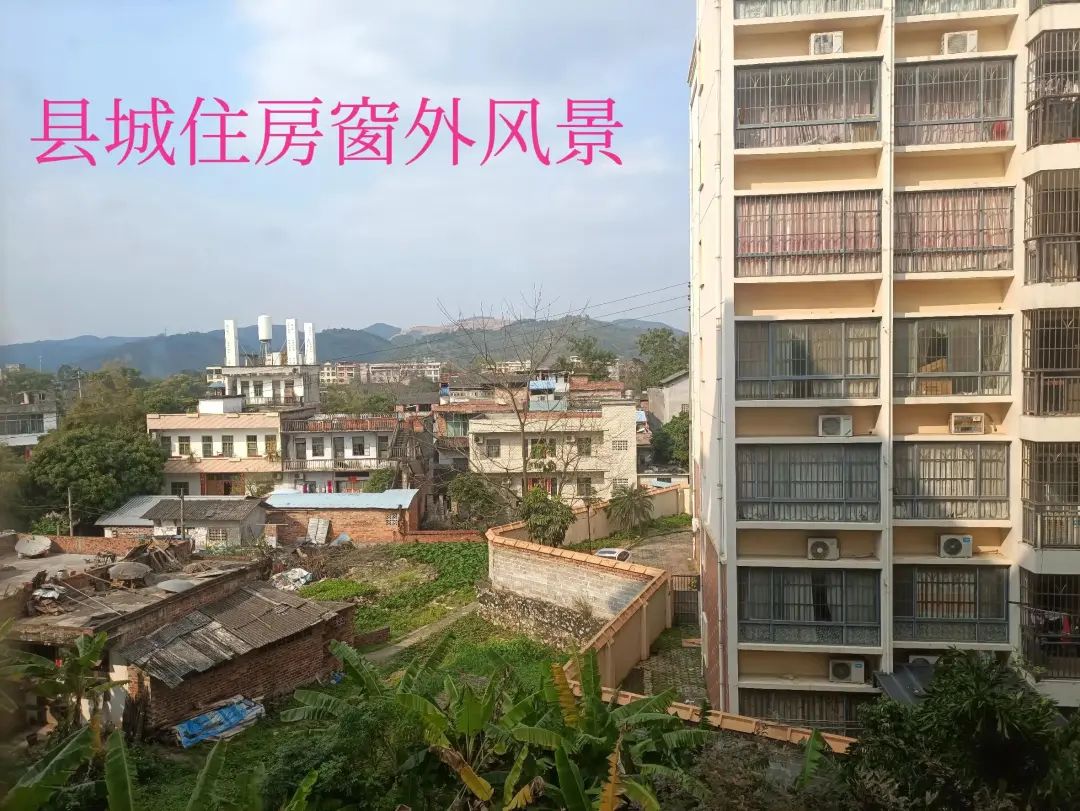深圳市|在广东奋斗了20多年，我终于还是把孩子送回了老家参加中考